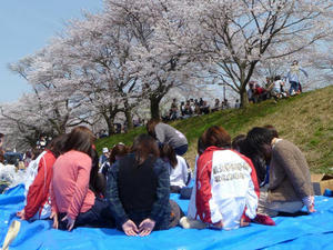 P1020759.jpg
