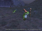 toadparty01.jpg