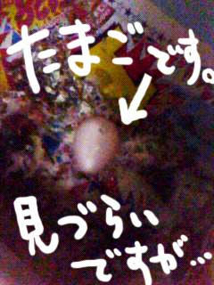 暗いですね