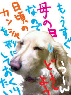 悩みますね～