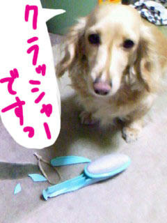 エチケットブラシが～…