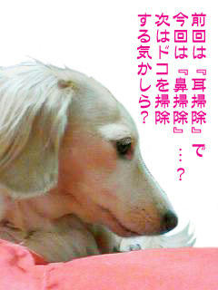 次は？