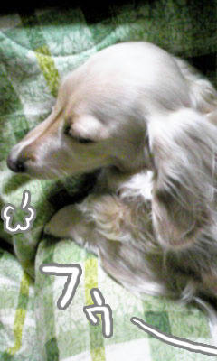 フゥ…
