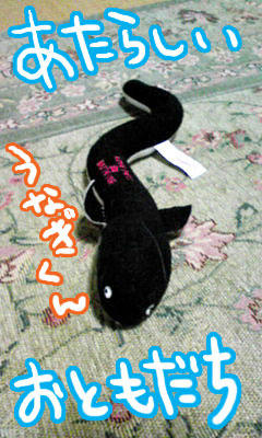 うなたん。