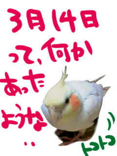 何か忘れてるような…？