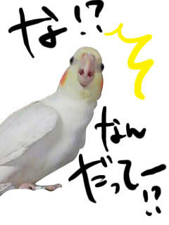 な、なんだってー！？