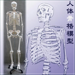 a00581-1.jpg