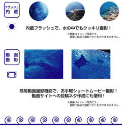 ha0008-6.jpg