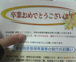 811a3580.jpg