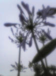 47f95936jpeg
