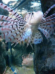 SBSH0003.JPG