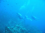 divers.jpg