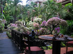 Bali001.jpg
