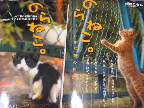 のらねこ。写真集