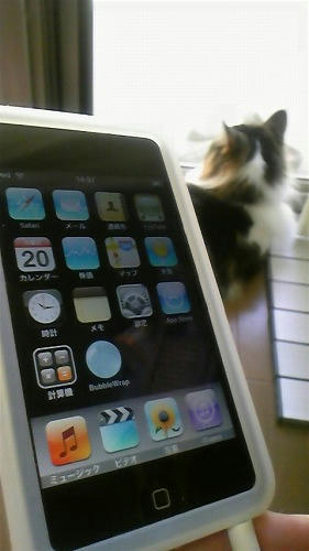 iPod touch