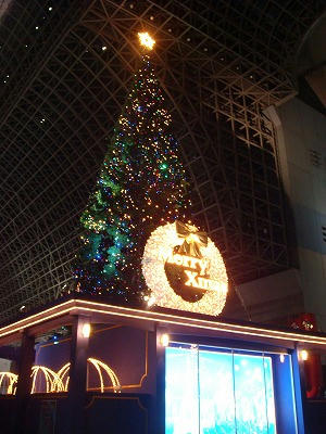 20081219kyotost.jpg