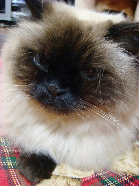 c1c8433a.jpg