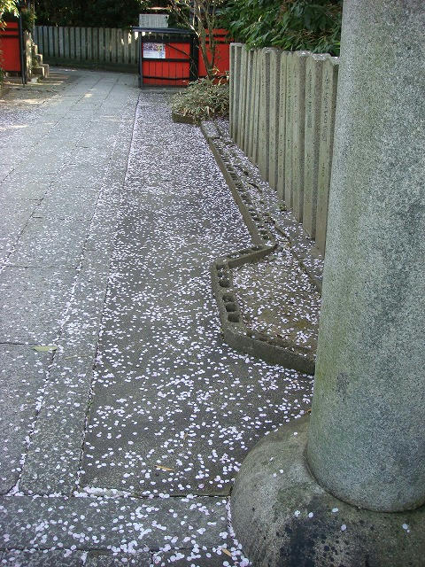 f959d24c.jpg