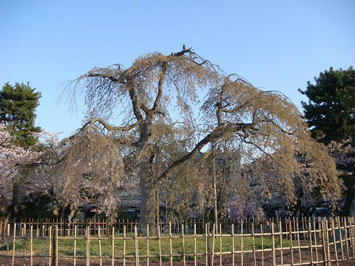 5867214e.jpg
