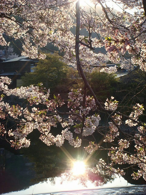 20090410.jpg