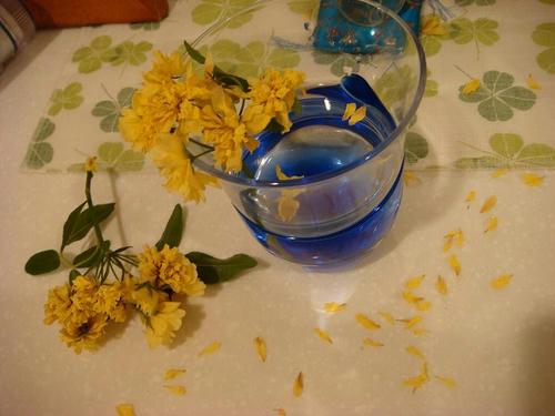20090427tsurubara.jpg