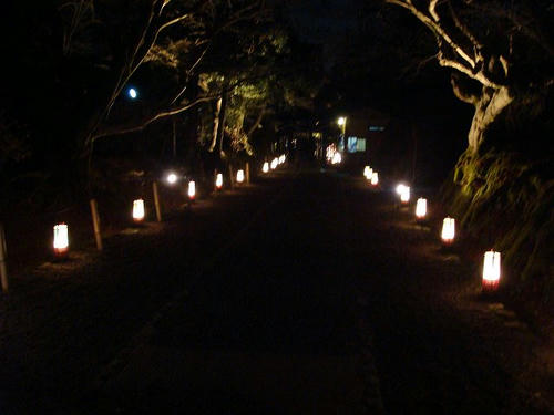 20091212arashiyama-jojakkoin.jpg