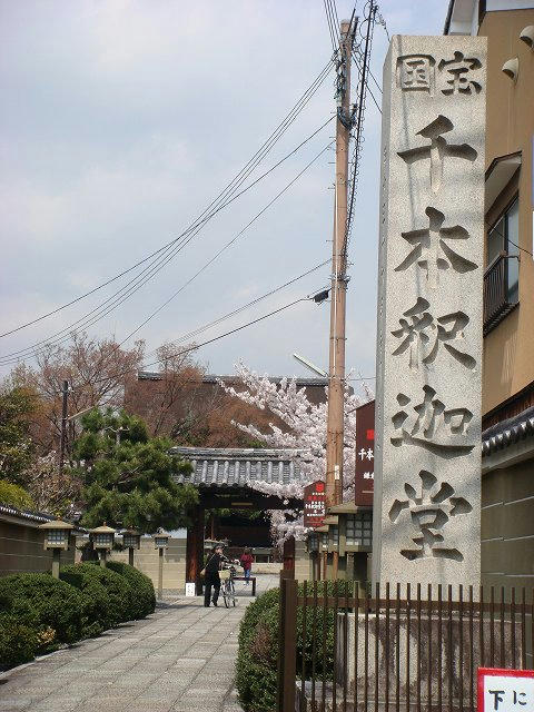 20100406senbonsyakado.jpg