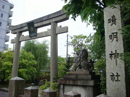 20100507.jpg