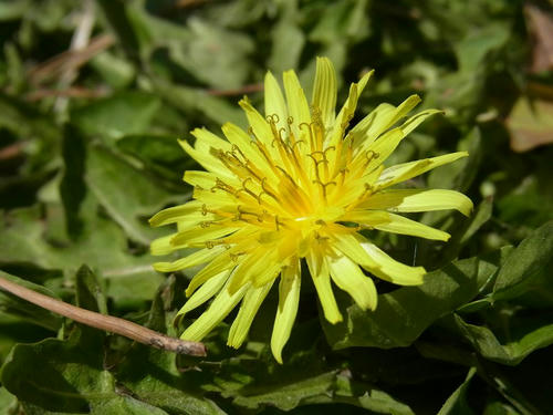 dbbd055c.jpg