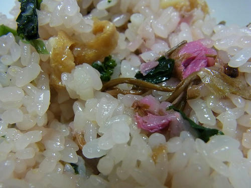 20110407sakuraokowa.jpg
