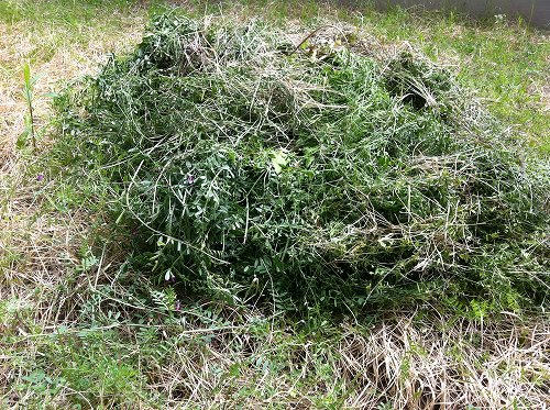 20110418i.jpg