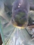 083b68cbjpeg