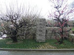 a14d1d50.JPG