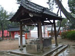 6086a35d.JPG