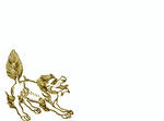 ab4c892a.jpg