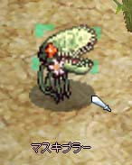 masukippa.jpg