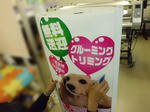 CIMG0032.jpg