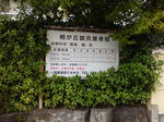 CIMG0270.jpg