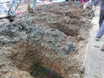 CIMG6352.jpg
