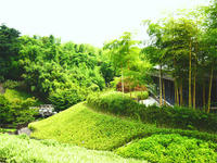 京都市洛西竹林公園の外観