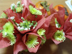 DSC07296.JPG