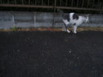 R0012693new.JPG