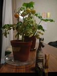 R0013717new.JPG