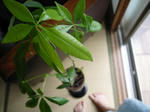 R0013834new.JPG