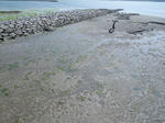 R0013987new.JPG