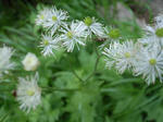 R0013996new.JPG