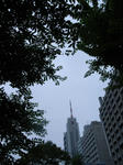 R0014050new.JPG