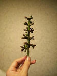 R0014059new.JPG