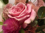 R0014069new.JPG