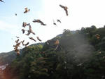 R0014268ew.JPG